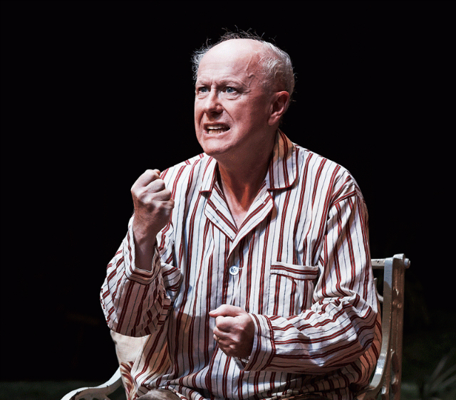 Niall Buggy in 'The Hanging Gardens' by Frank McGuinness at the Abbey Theatre as part of Dublin Theatre Festival. Photo: Ros Kavanagh