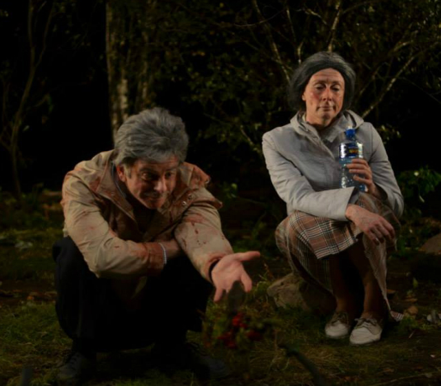 Caitríona Ní Mhurchú and Alan Howley in Desperate Optimists' 'Tom and Vera' as part of Dublin Theatre Festival