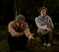 Dublin Theatre Festival: Tom and Vera